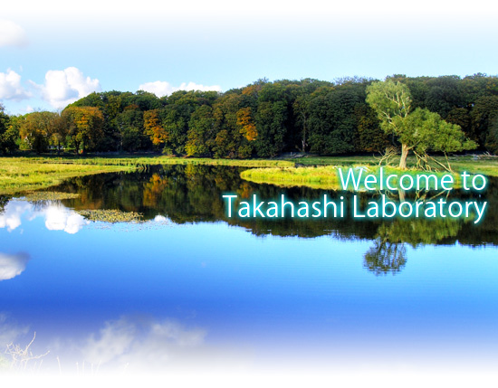 Welcome to Takahashi Laboratory